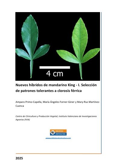 Nuevos híbridos de mandarino King - I. Selección de patrones tolerantes a clorosis férrica